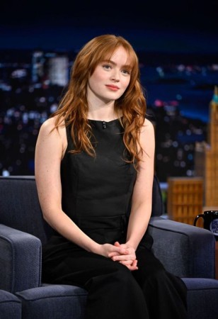 Sadie Sink Career